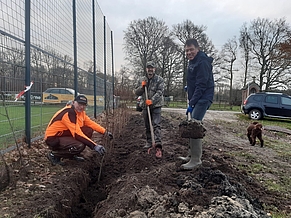 Heckenpflanzung am Rot-Weiß Trimbach