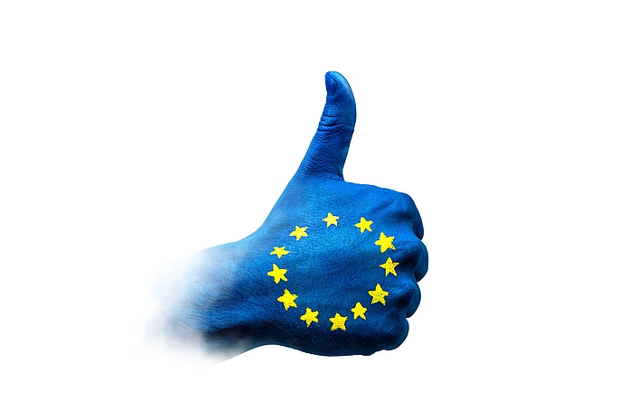 Die nächste Europawahl findet voraussichtlich im Mai 2024 statt.
