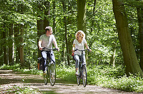 Neue Rad- und Reitkarte vom Münsterland e.V. / Bildquelle: Münsterland e.V.