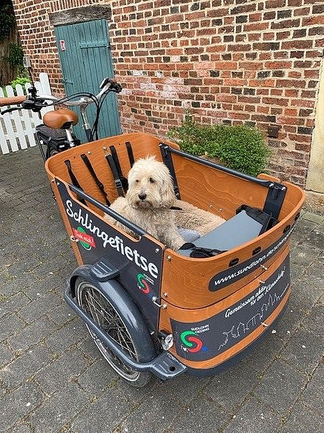 Die Schlingefietse eignet sich auch für einen Ausflug mit dem Hund.